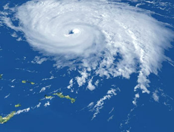 hortense.jpg (31475 bytes)